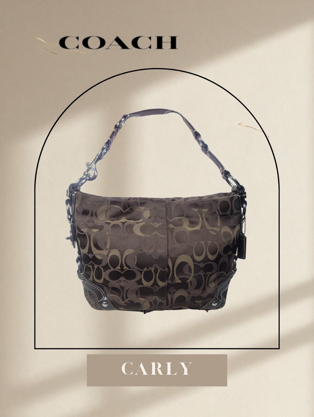 Coach Carly Shoulder Bag F13980